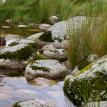 pond and rocks