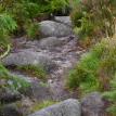 Rocky path