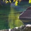 Rock reflections