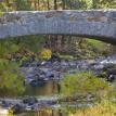 Bridge in Yosemite
