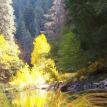 Autumn reflections