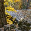 Autumn bridge scene
