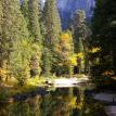 River reflections in Yosemite