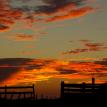 Sunset with fence